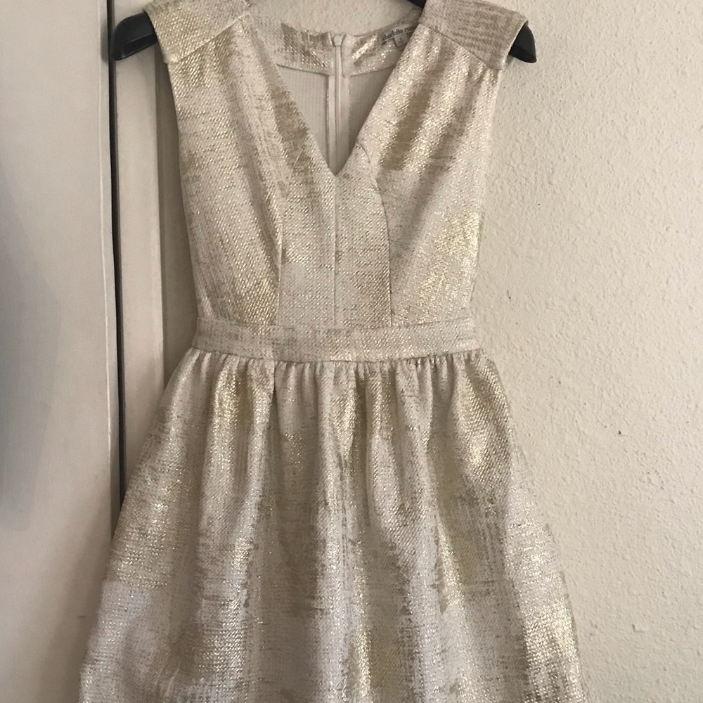 White and Gold Dress